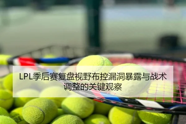 LPL季后赛复盘视野布控漏洞暴露与战术调整的关键观察
